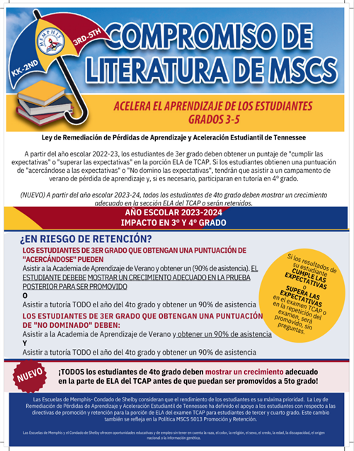 Literacy Commitment